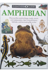 Eye Witness Guides – AMPHIBIAN