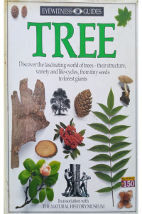 Eye Witness Guides – TREE