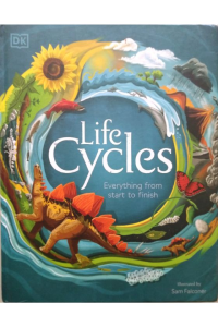 Life Cycle