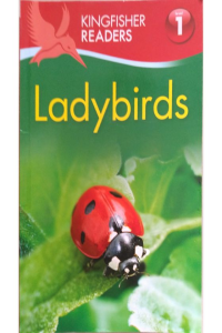 Ladybirds Level – 1
