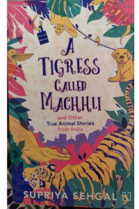 A Tigress Called Machhli